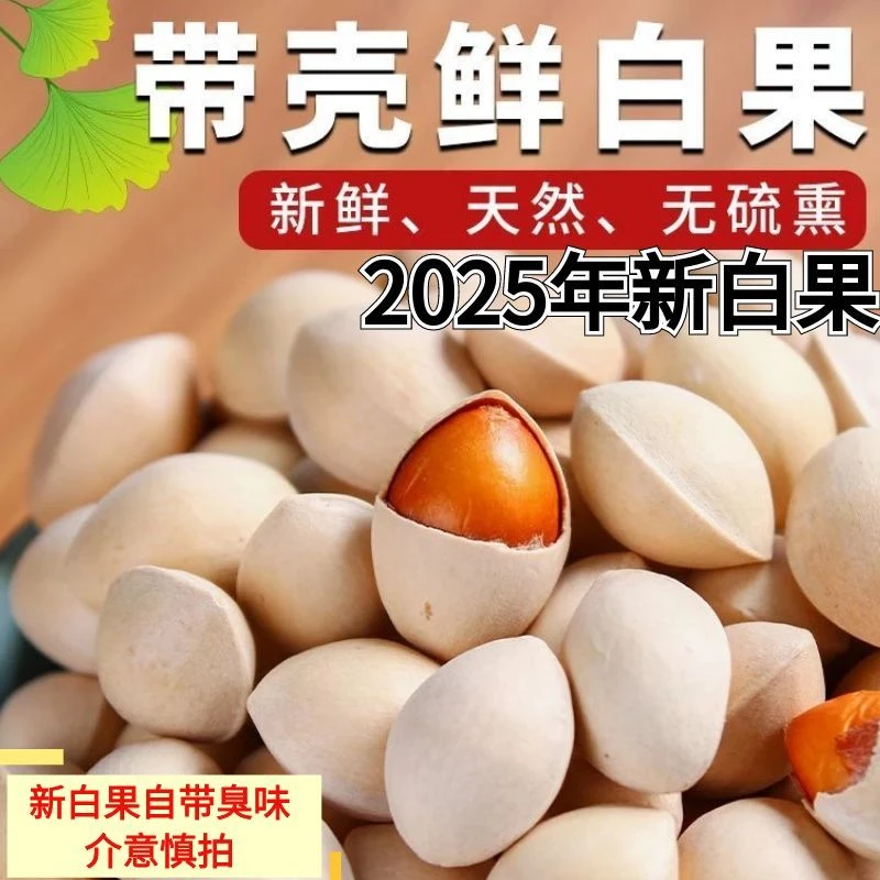 2025年新银杏带壳白果子新鲜生百果仁无漂白本色原味1斤 3斤 5斤