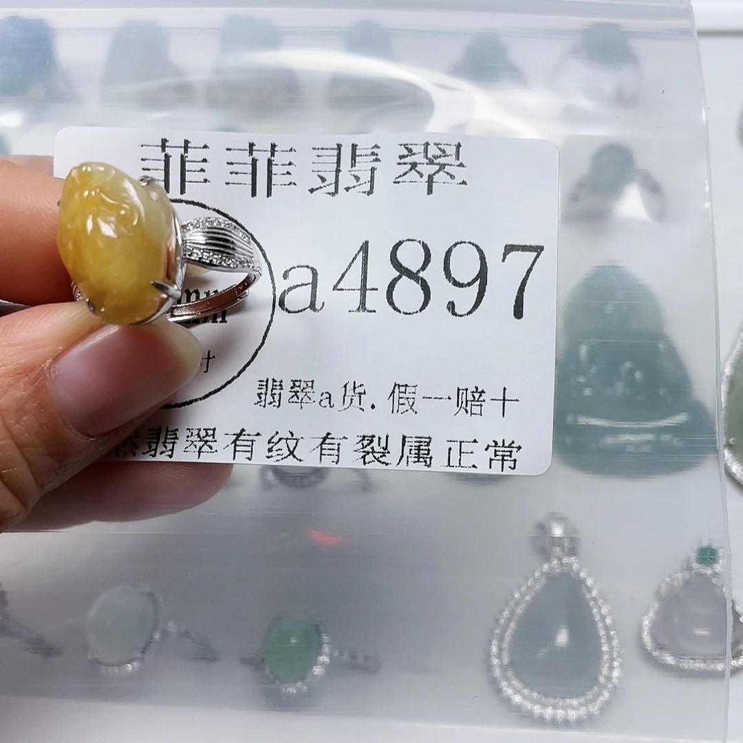 翡翠颈饰未镶嵌闪购4897