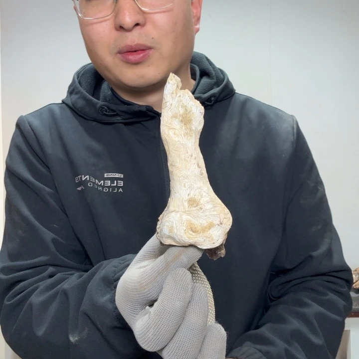 蘂***香榧木工艺品精选去1111