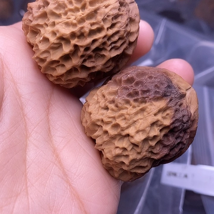 把件文玩核桃   40
