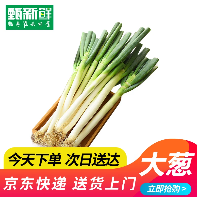 ②⑩新鲜大葱300g±10g京东包邮次日达大葱