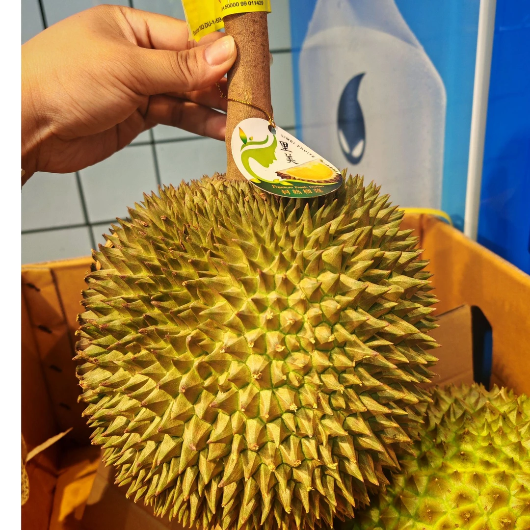 长柄榴莲新鲜榴莲一果一重核大干尧泰国