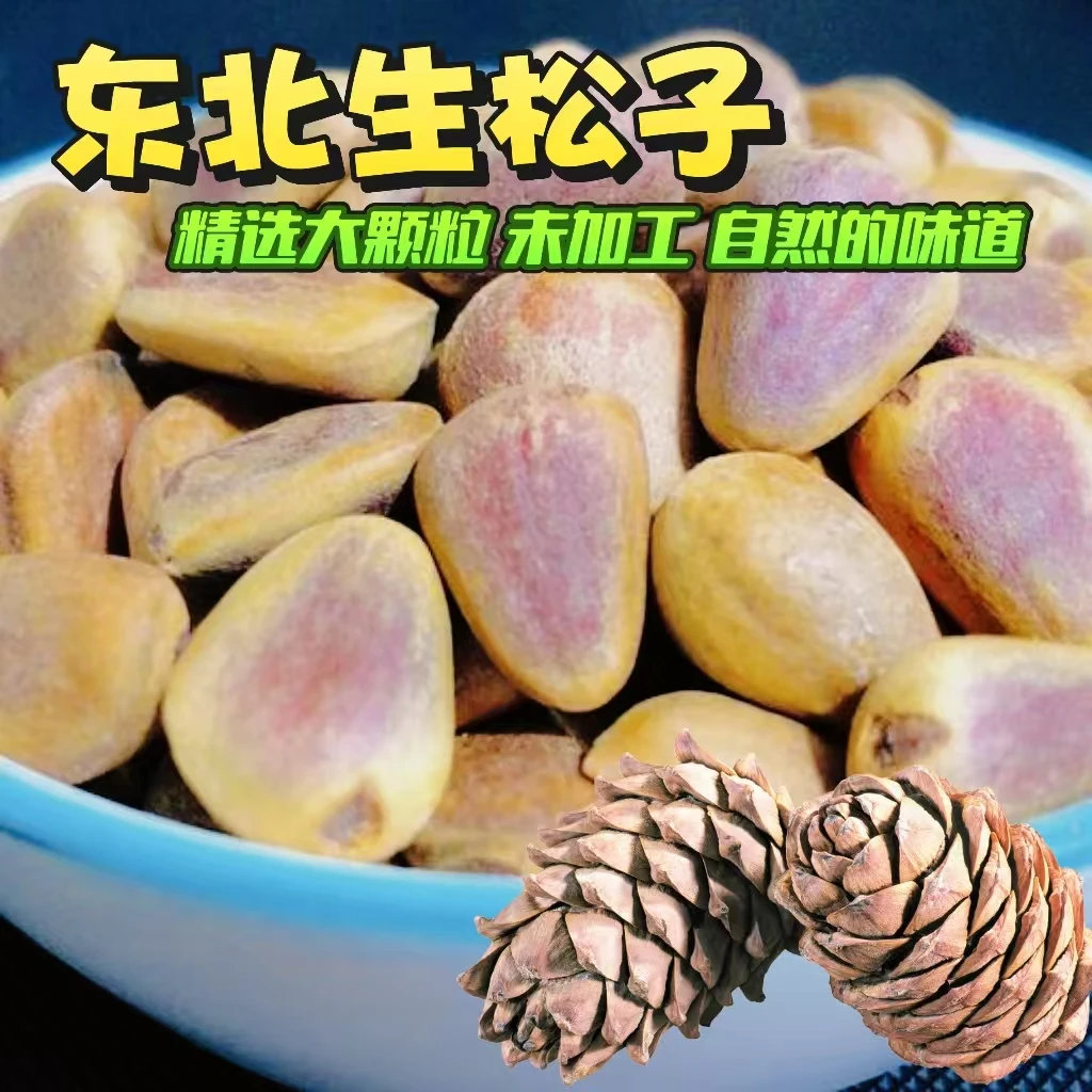 生松子【东北特产红松籽】精选大颗粒无加工红松子未开口 （赠钳子）