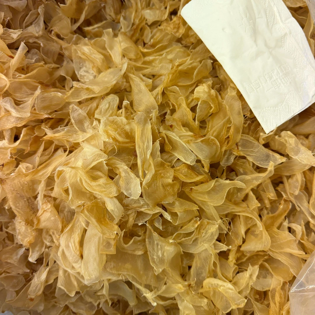 清水竹叶胶 鱼胶花胶炖汤滋补胶质细腻适合煲汤做菜