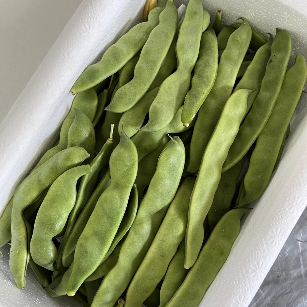 【李昭昭】黑龙江当地纯油豆角