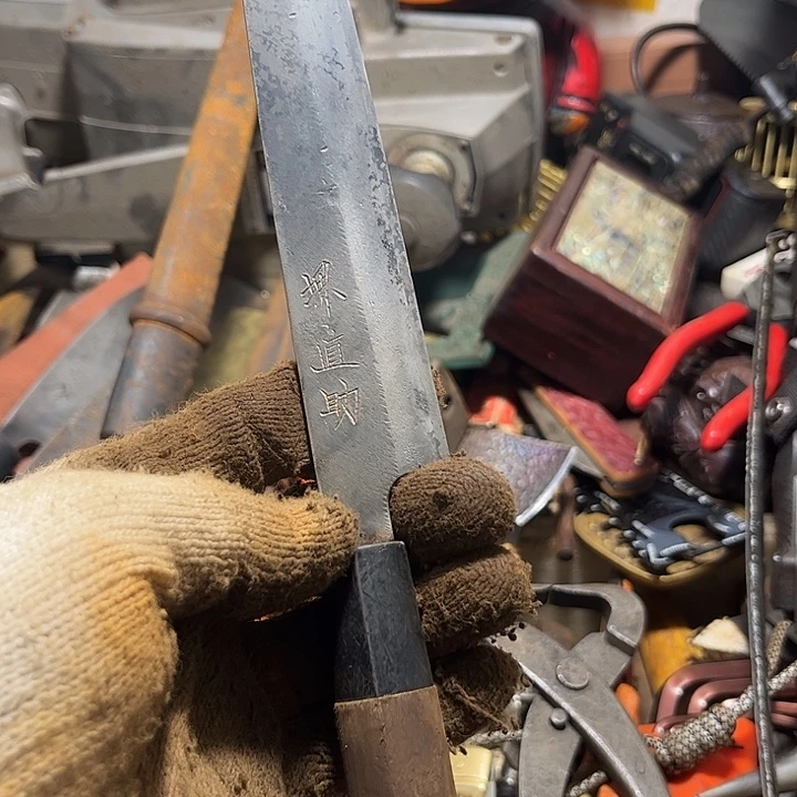 海***器柳子一个，不退不换160