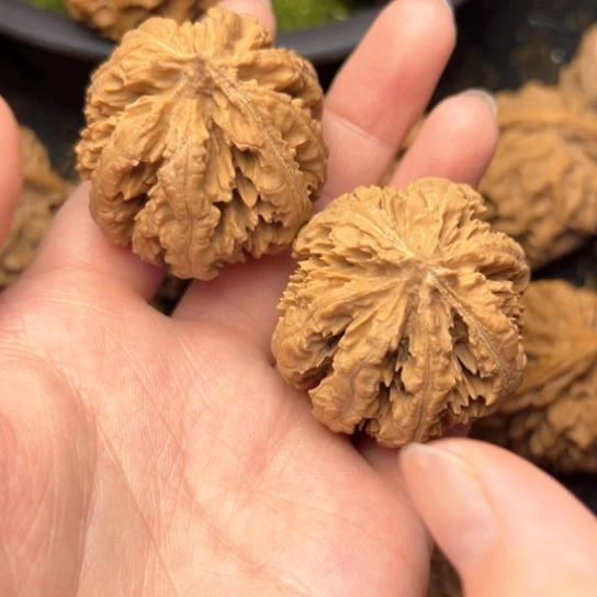 文玩核桃把件秦岭核桃3