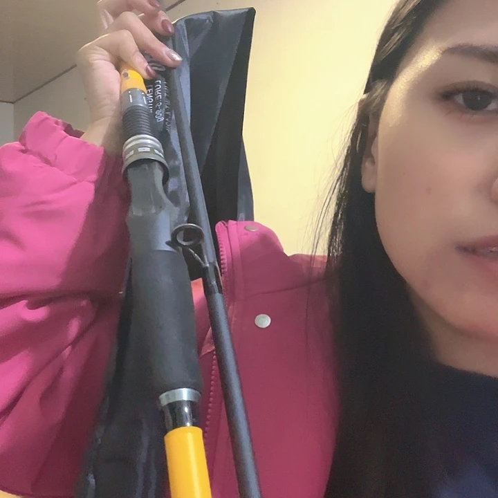 虹***瓦3.8m碳素2.7枪柄2竿竿