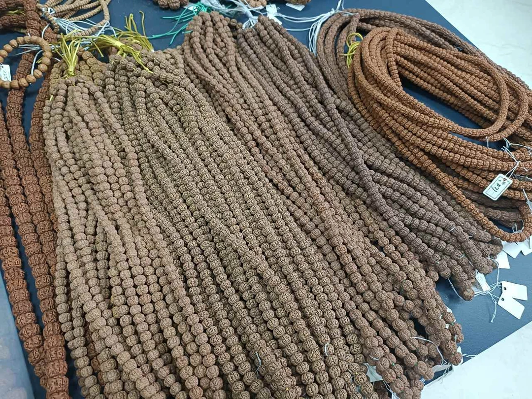 444五花帝王龙10+11+ +直播间专用