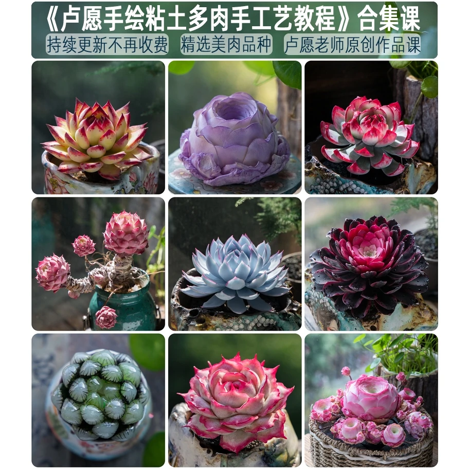 合集课不限课时(卢愿手绘树脂粘土多肉手工艺教程手作diy教学视频