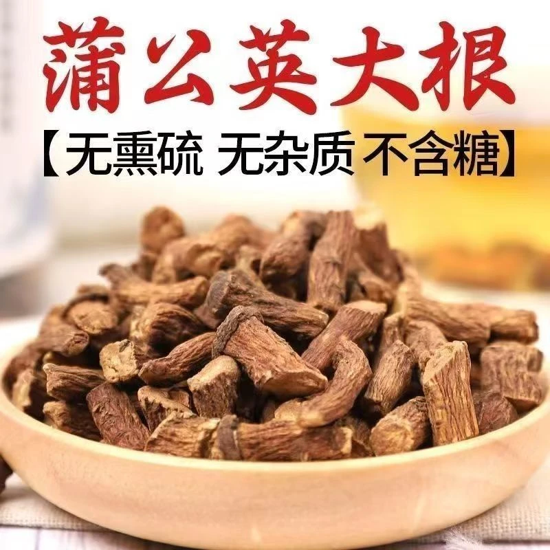 淅有山川淅川当地山地野生蒲公英根农家地头