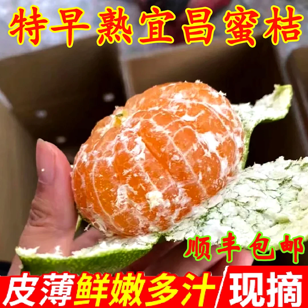 新鲜现摘青皮桔子无籽5斤一整箱蜜橘应季水果薄皮酸甜青橘子宜昌
