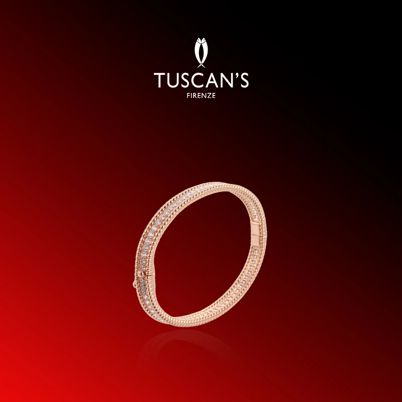 铜合金合成锆石手镯 TUSCAN'S气质镶嵌单排钻手镯女手饰时代双鱼