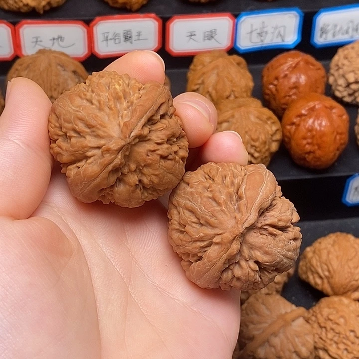 文玩核桃把件霸王龙41
