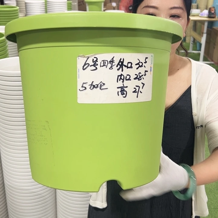 特价6号四季口32.5高27.7白色7支无托