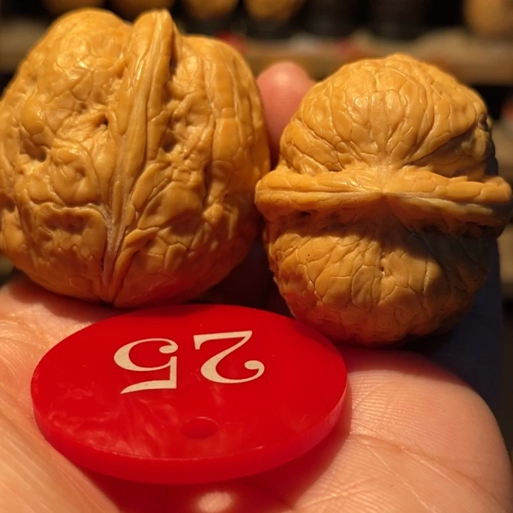 木质类蛇胆39尺寸