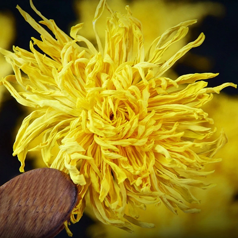 【抢2罐】金丝皇菊一朵一杯满满两罐装黄菊花茶泡水泡茶