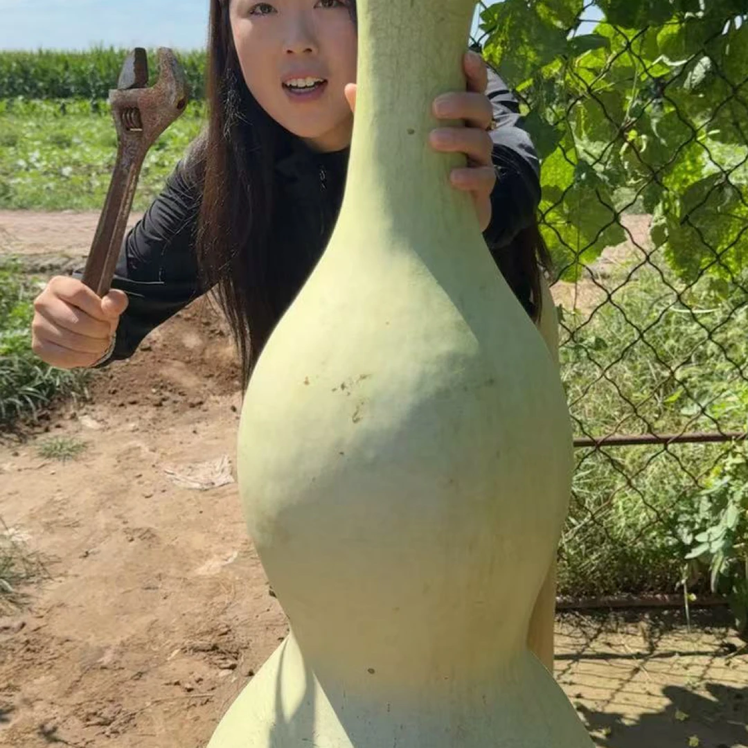 1米超大莲花头大八宝葫芦10粒