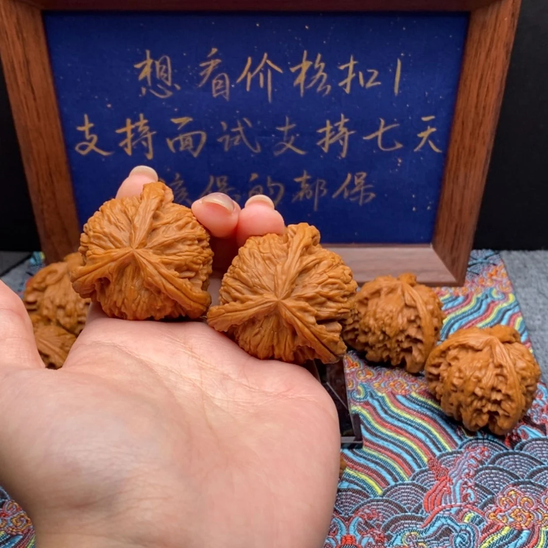 【闪购商品】L*L白狮