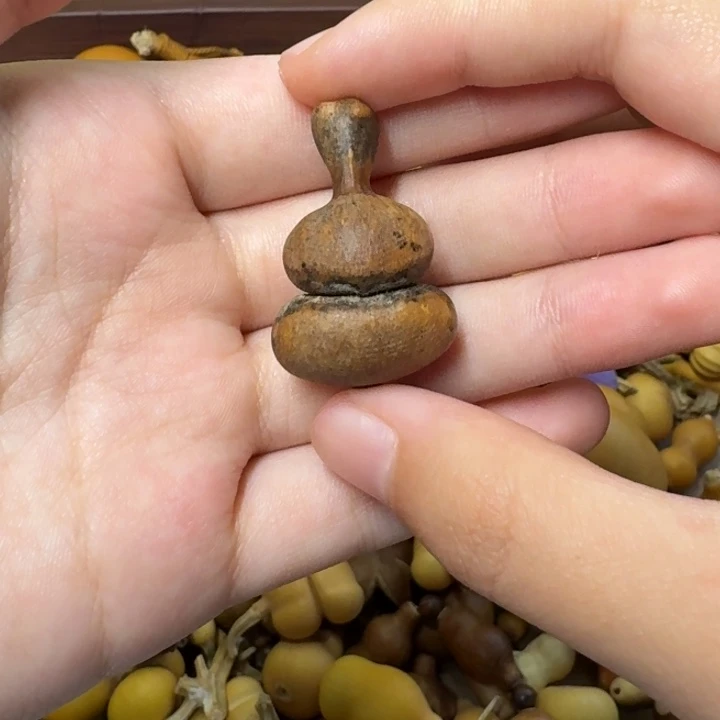 葫芦葫芦葫芦葫芦