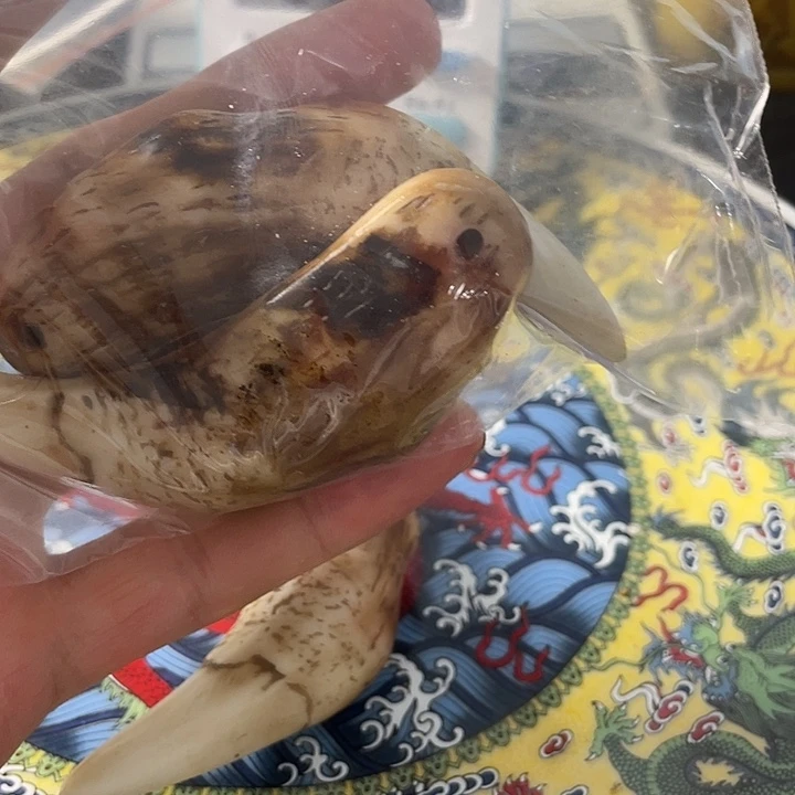 健健康康快快乐乐