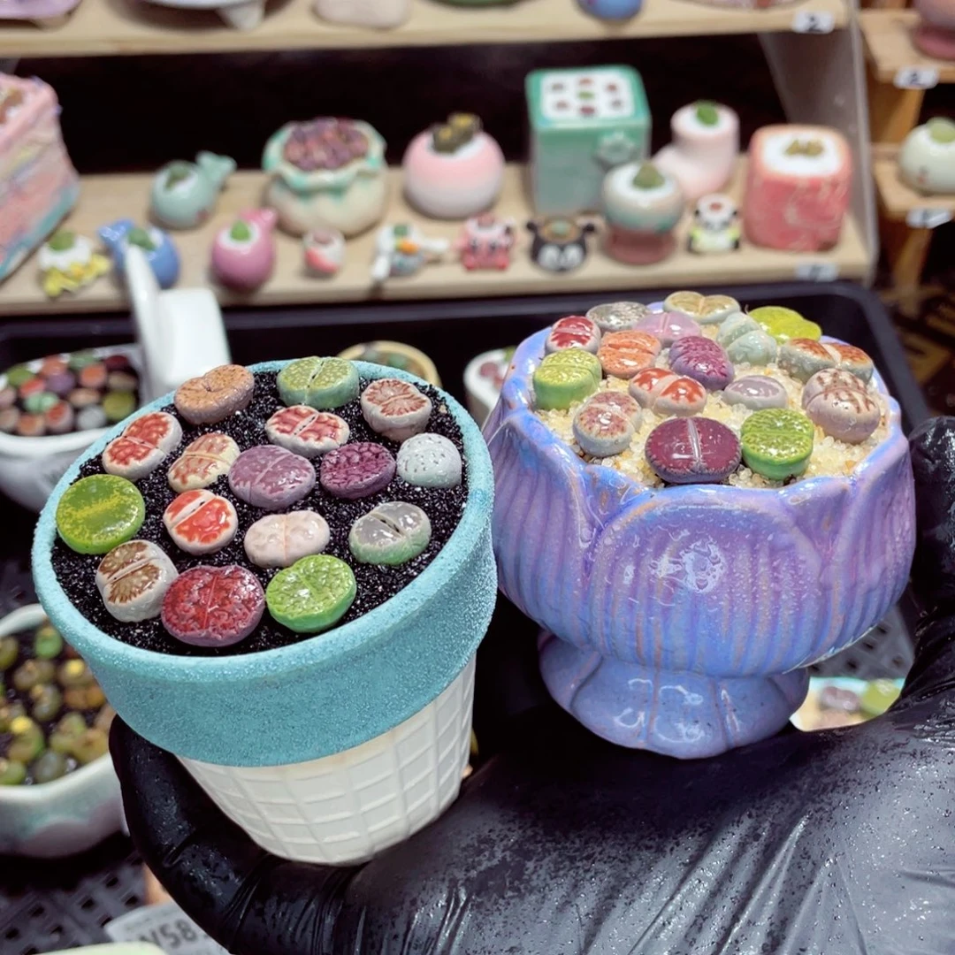 夜间零下地区拍保温箱w5830