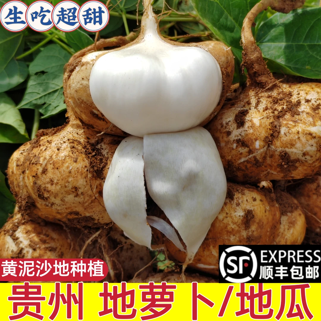 贵州安顺地萝卜新鲜白地瓜心凉薯清甜多汁当水果即食的农家特产