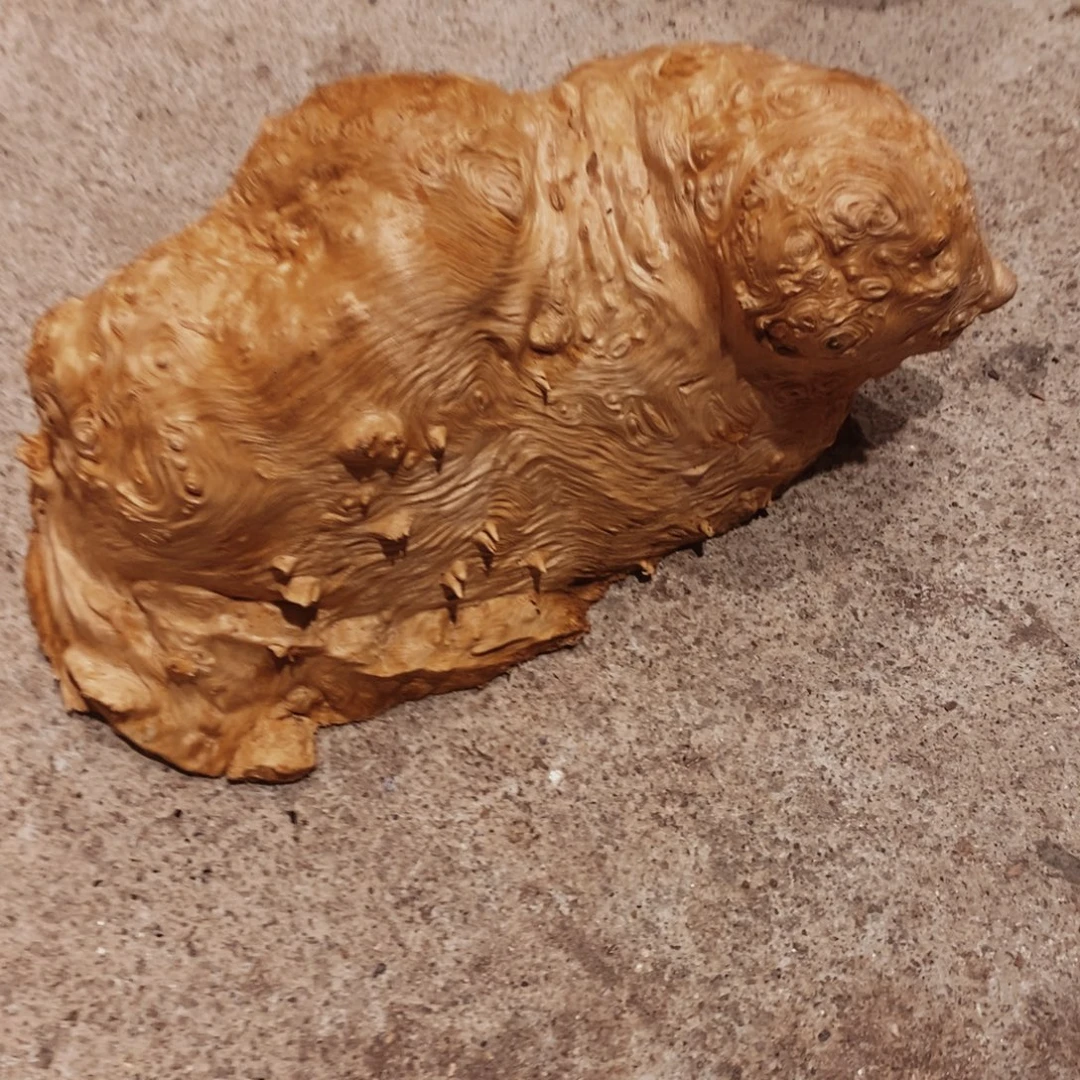 海***民荔枝木随形木材一个