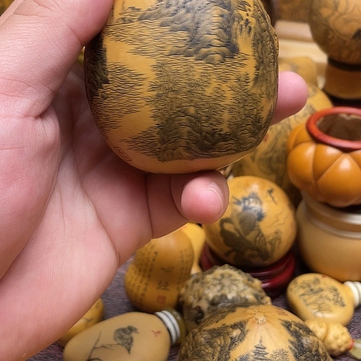 空***。我是一只小小鸟地域