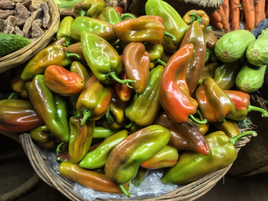 云南大山农户自种露天阳光甜尖椒