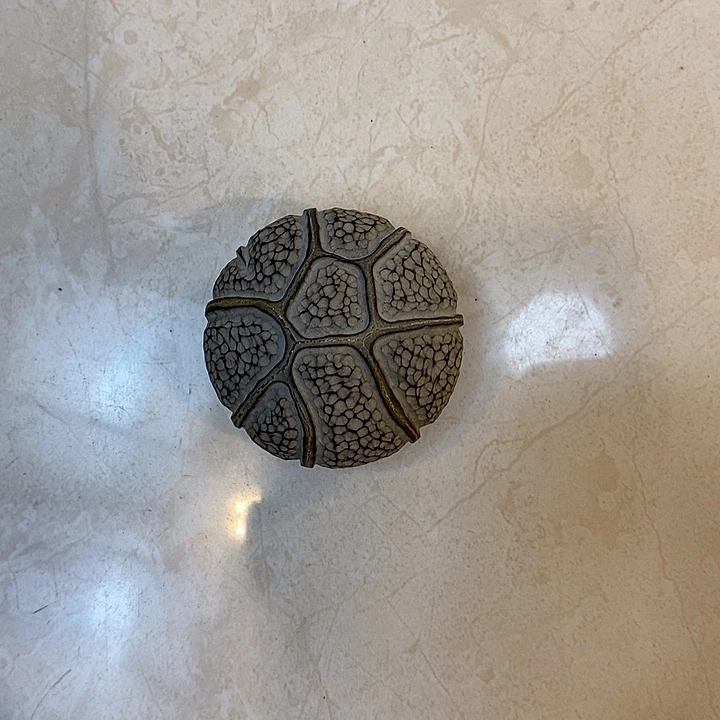有机玻璃龟纹石手把件