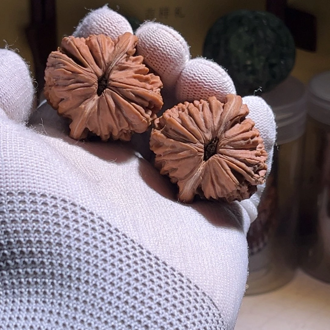 大***k全品 楼子 40尺 全品。