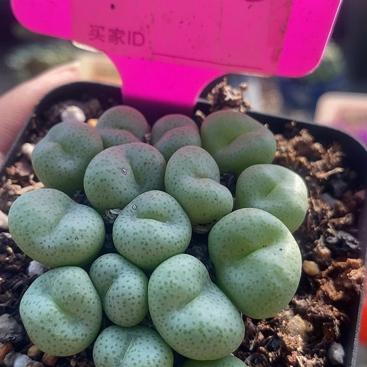在一起就是不知道要怎样986