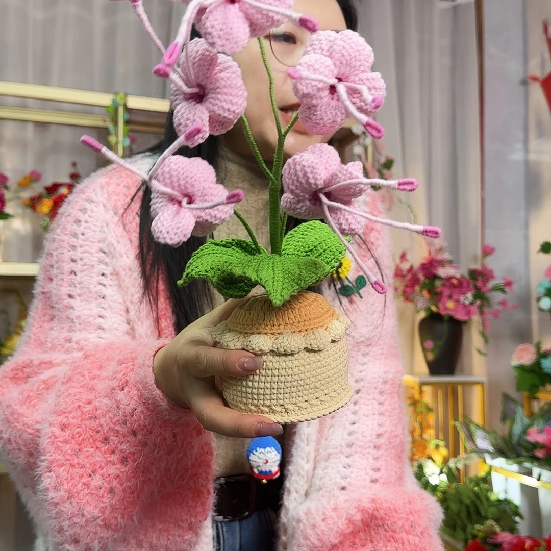 纯手工钩织手工钩织设计盆栽
