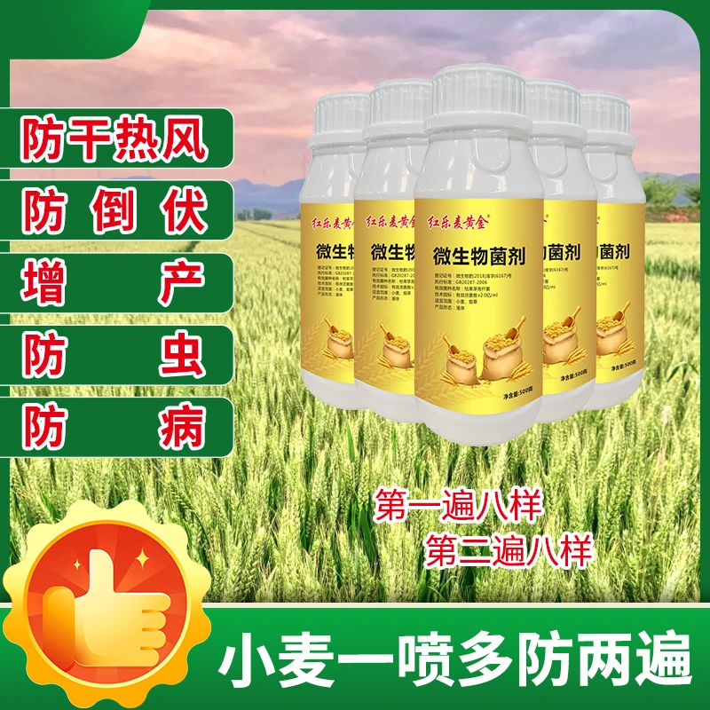 小麦增产一喷多防组合（一组十亩地两遍）