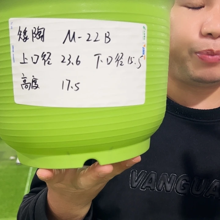 正品矮陶口24高17米色6个无托