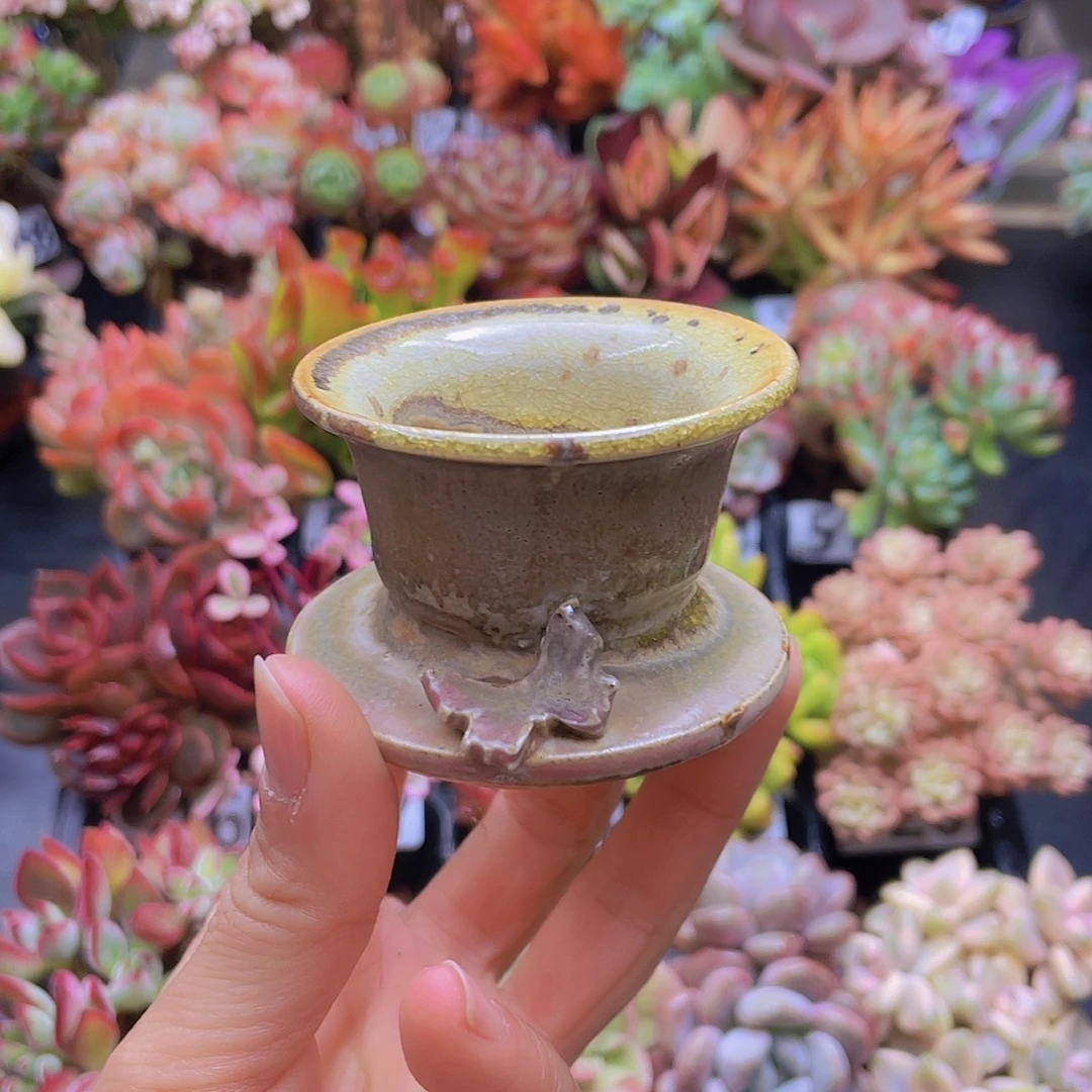 花钱花钱花钱花钱花钱