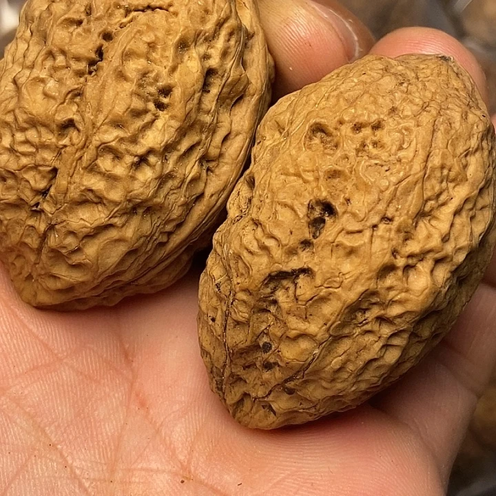 文玩核桃把件云南铁核桃28