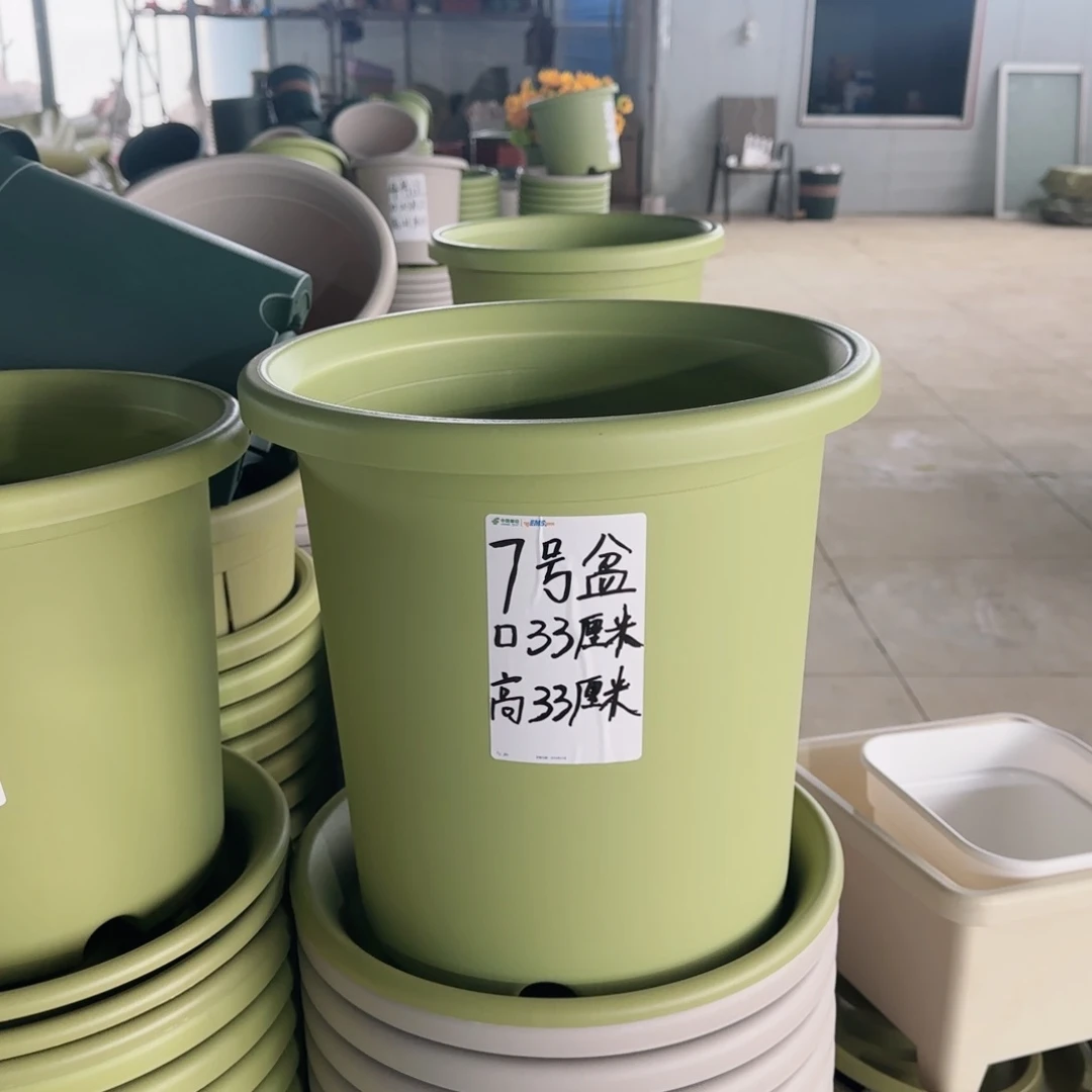 塑料四季7号果绿2个带拖