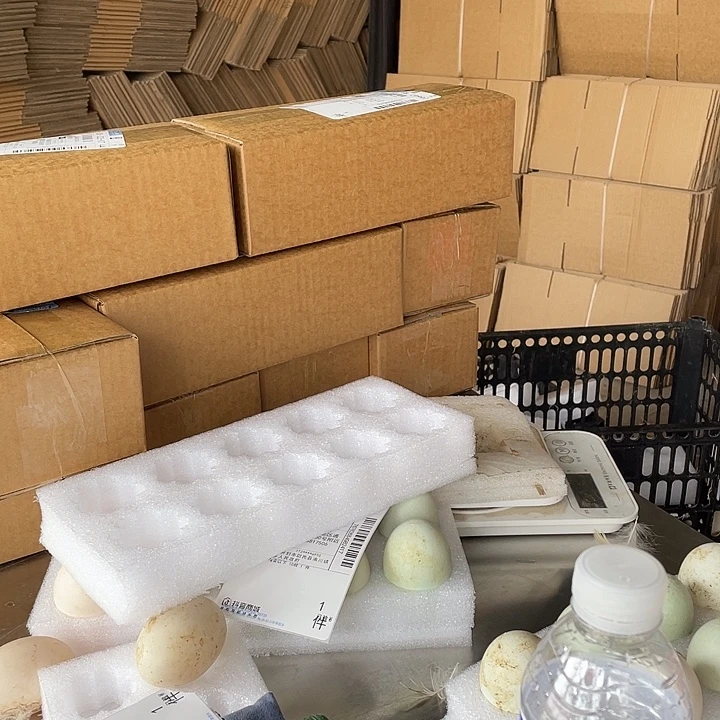 ****流包装中国大陆30g鸭蛋