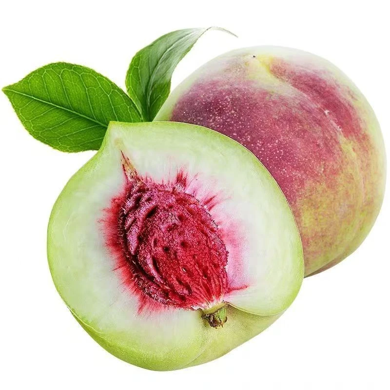 正宗青州蜜桃冬雪蜜桃脆甜多汁新鲜毛桃水果老少皆宜