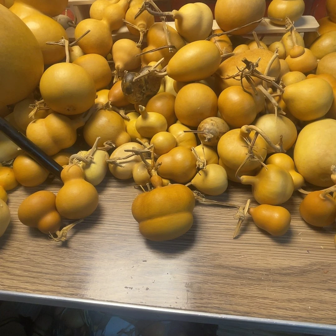 A***️羊羔毛哈哈哈哈哈哈哈哈哈哈哈哈我