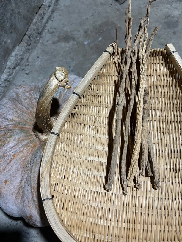 云南农家特产玉米3号