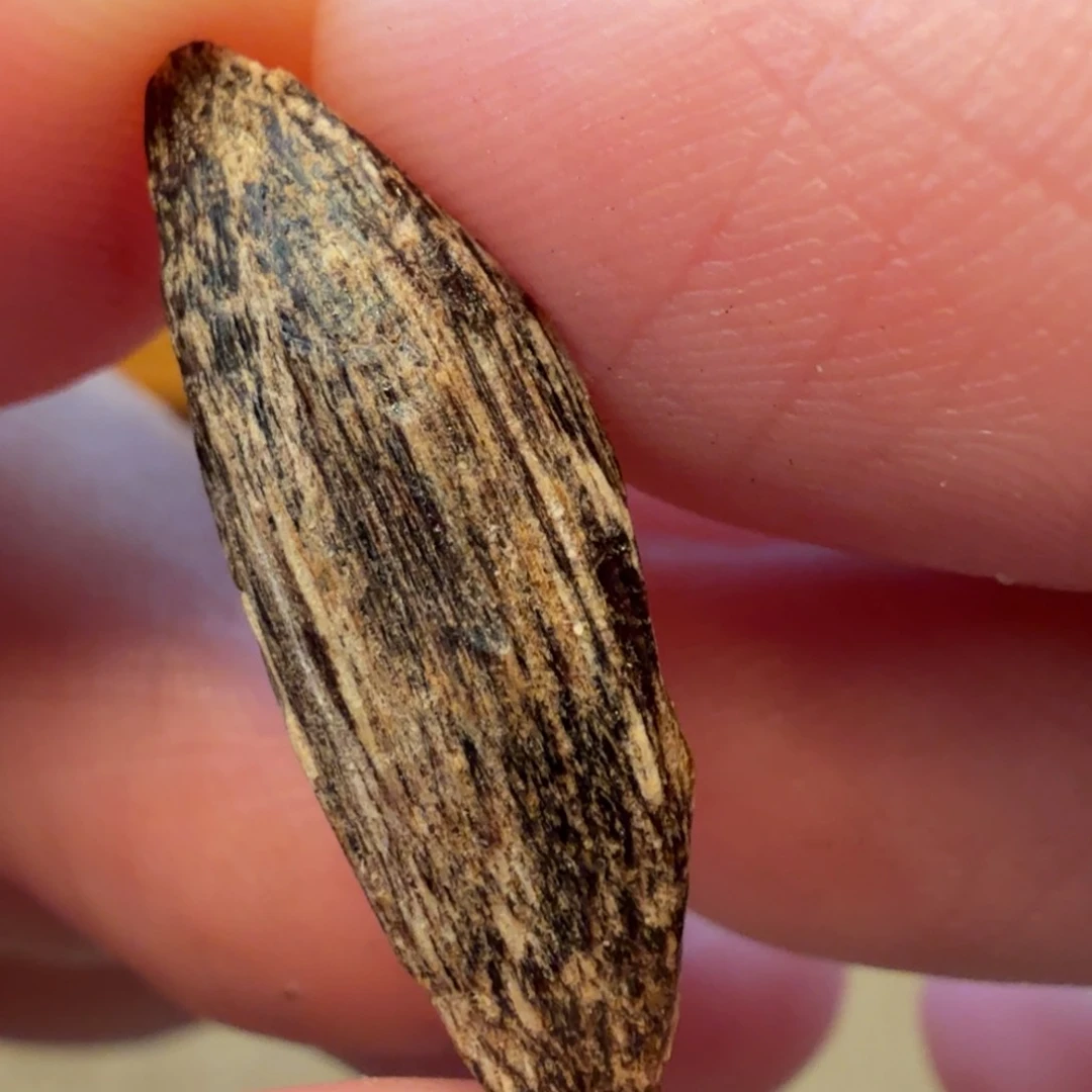 沉香海南瓜子沉香