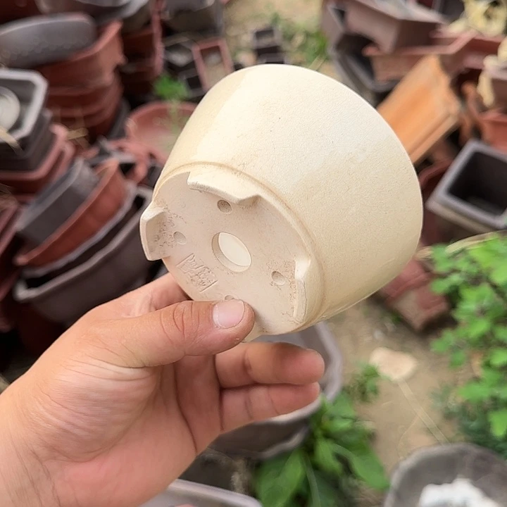 这就是为什么不在你家落户呀
