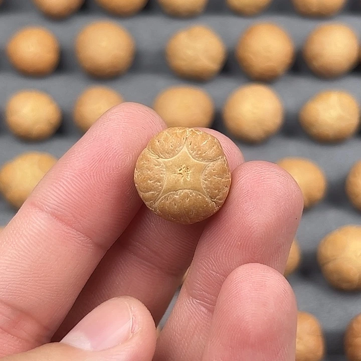 凤眼菩提吊坠17+五星