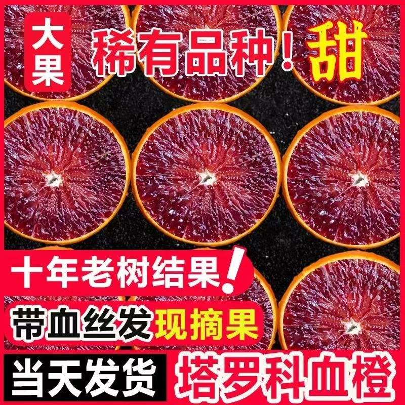【塔罗科血橙】爆甜多汁当季新鲜血橙现摘现发坏果包赔  带箱9-10斤