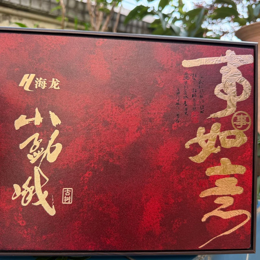 【海龙】2025年小勐峨普洱茶生茶200g饼