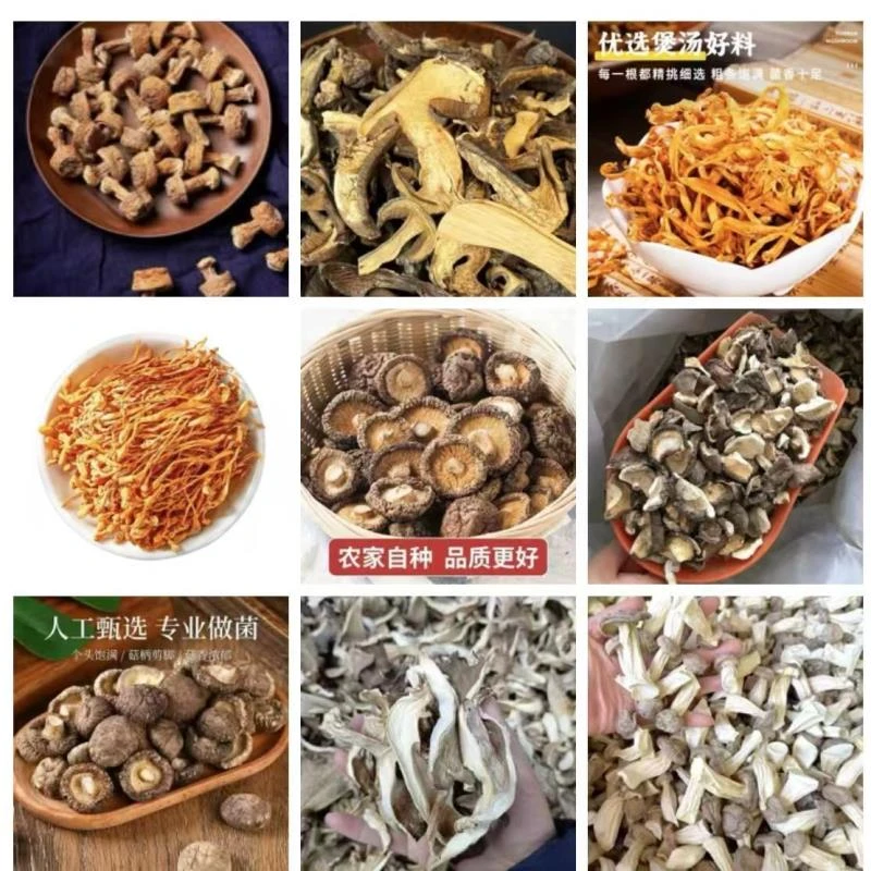 C022 备用链接 高端品质 山货土特产 香菇