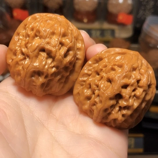 精品野生：平谷霸王